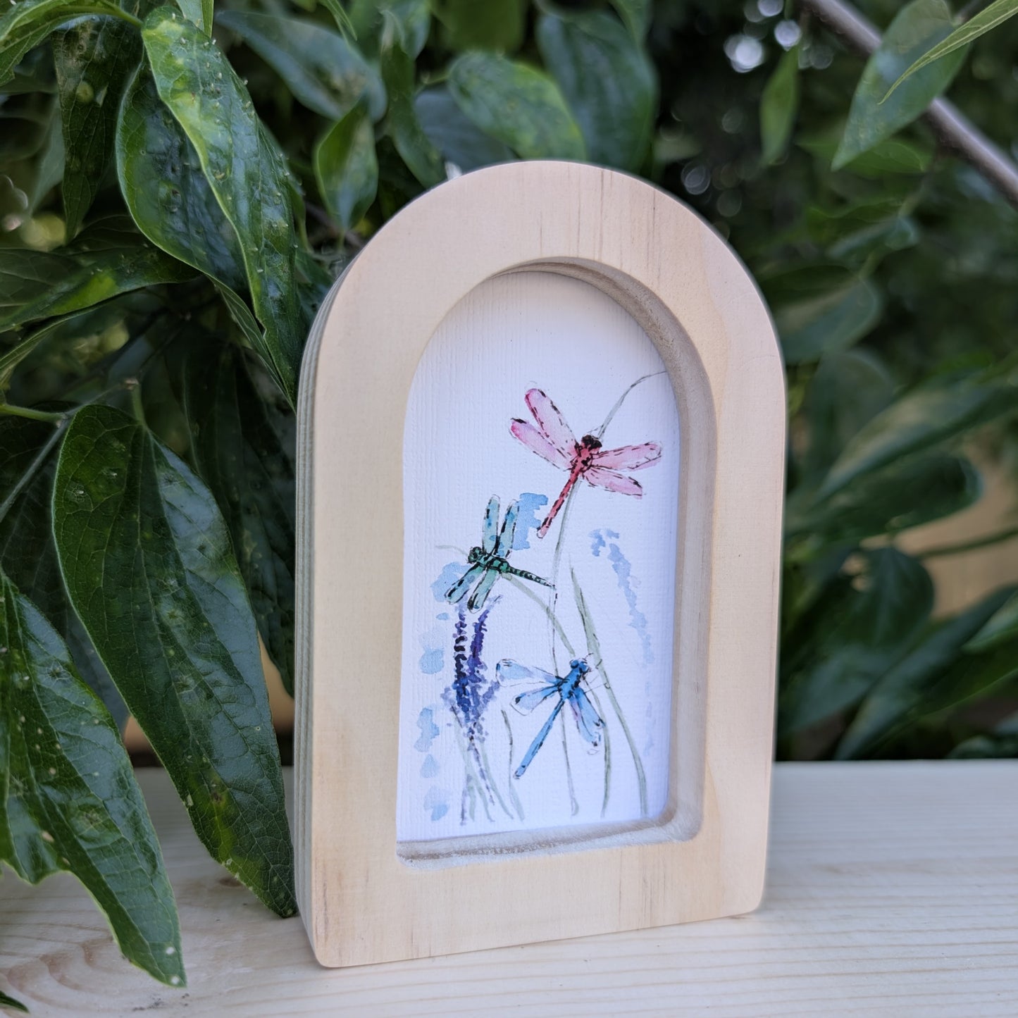 Mini Dragonflies Print in Solid Wood Arch Frame