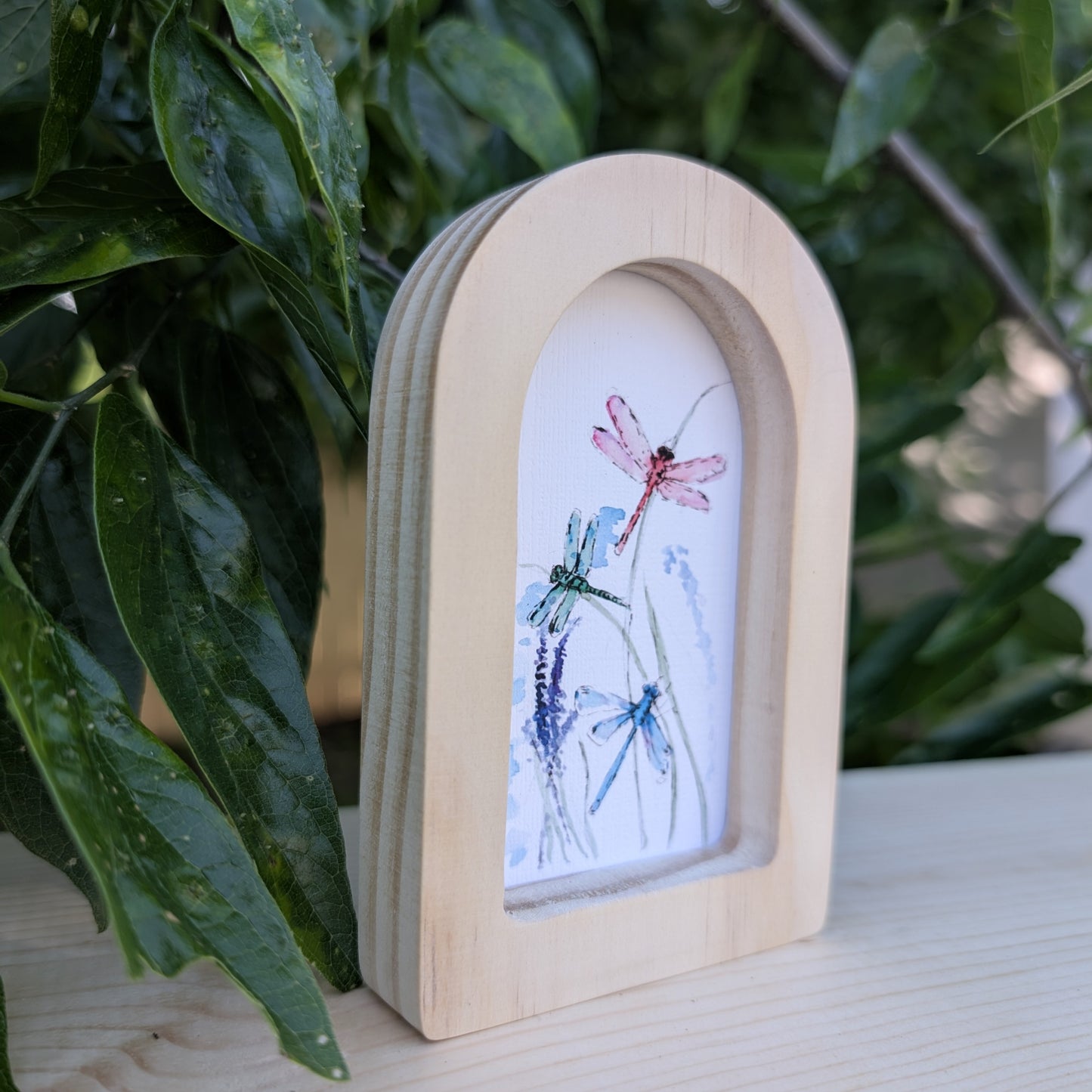 Mini Dragonflies Print in Solid Wood Arch Frame