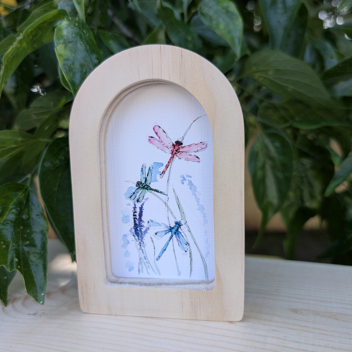 Mini Dragonflies Print in Solid Wood Arch Frame